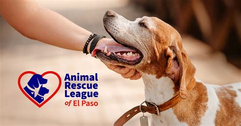 Animal rescue league of el paso - El Paso, TX 79913 Open 11:30 a.m. to 4:00 p.m. everyday* *some holiday exceptions Phone: 915-877-5002 Fax: 915-877-1923 Email: info@arlep.org ©2024 Animal Rescue League of El Paso ...